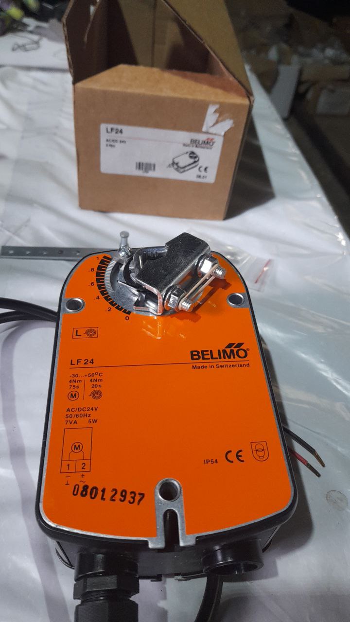 LF24