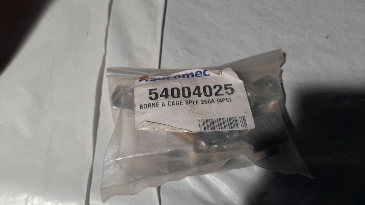 54004025