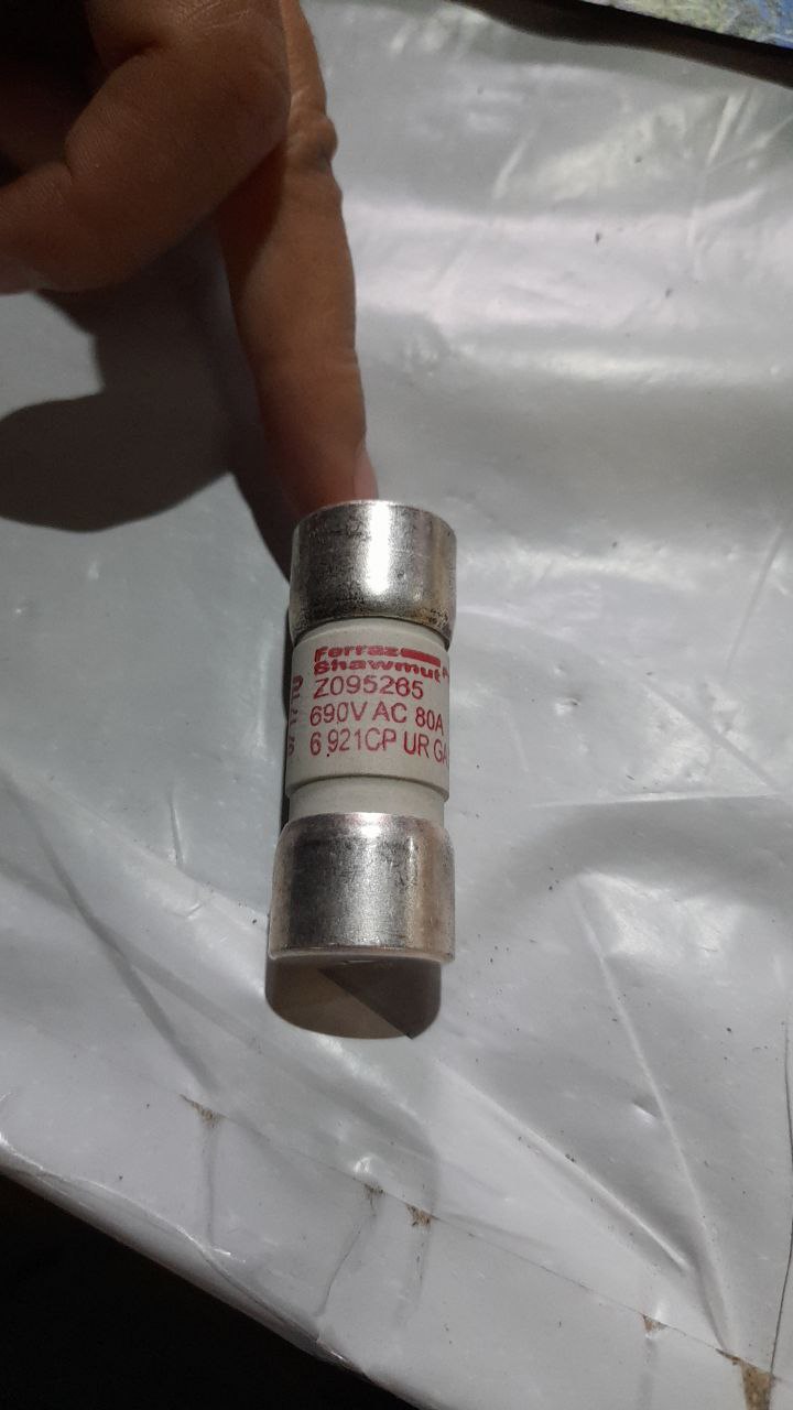 Z095265